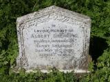 image of grave number 299013